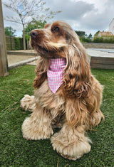 Bandana vichy rose