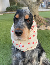 Snood pommes - gaze de coton