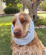Snood vichy bleu ciel - gaze de coton