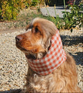 Snood vichy terracotta - gaze de coton