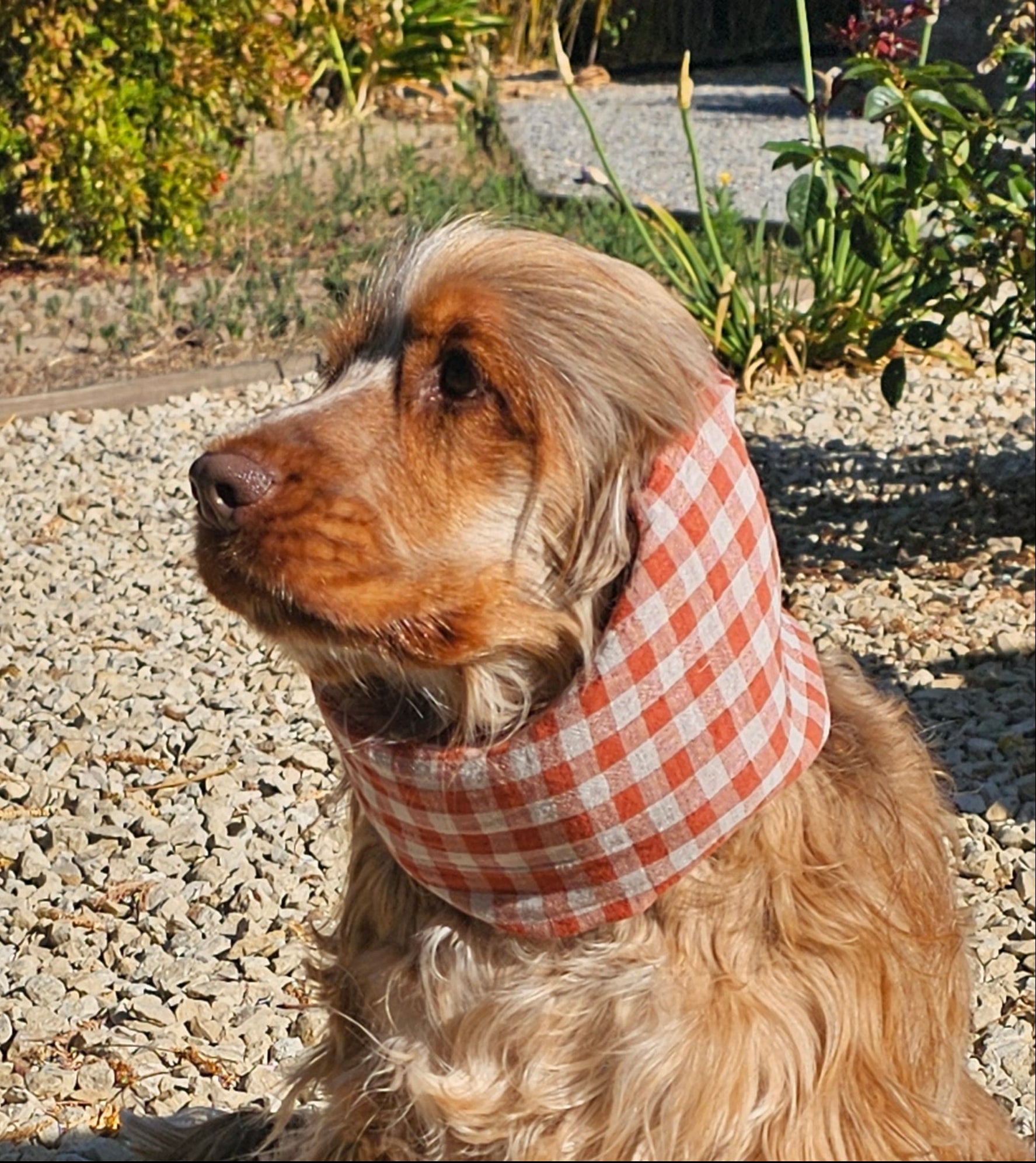 Snood vichy terracotta - gaze de coton