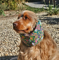 Snood fleuris - coton