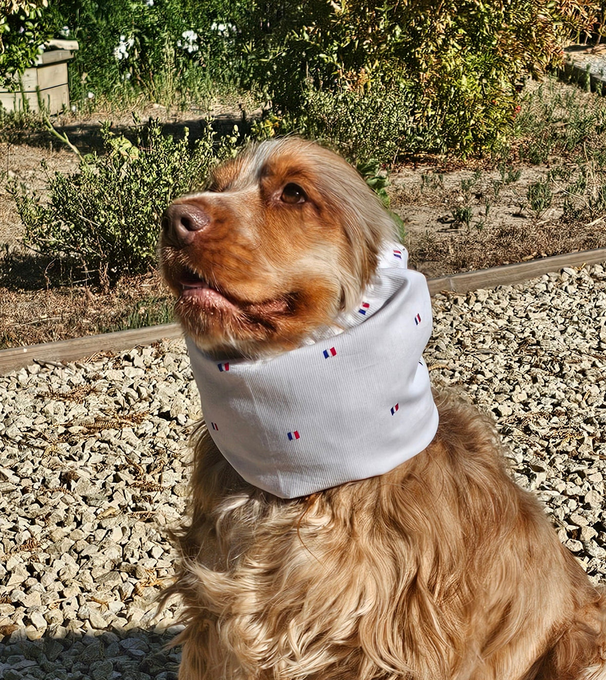Snood drapeau Français - coton