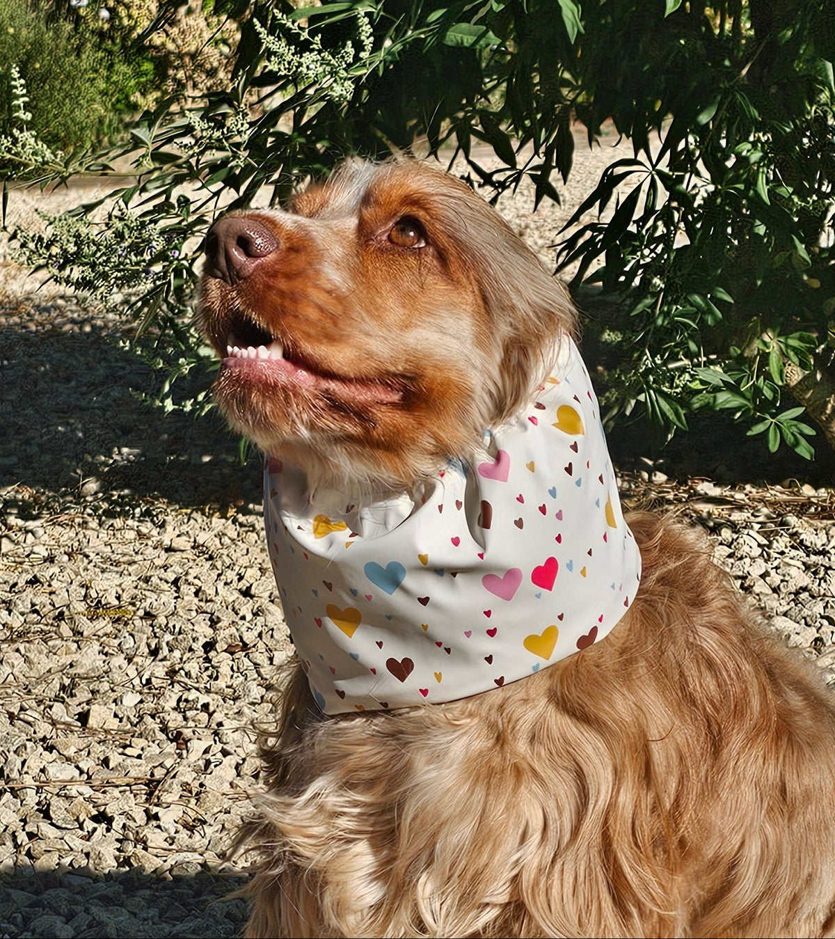Snood coeurs multicolores - imperméable