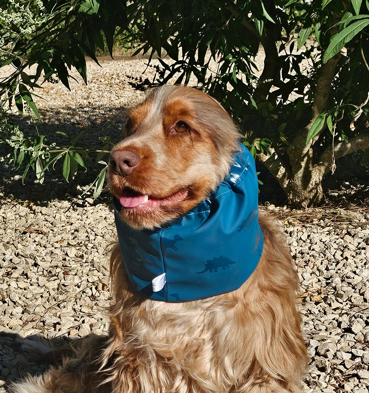 Snood dinosaures bleu canard - imperméable