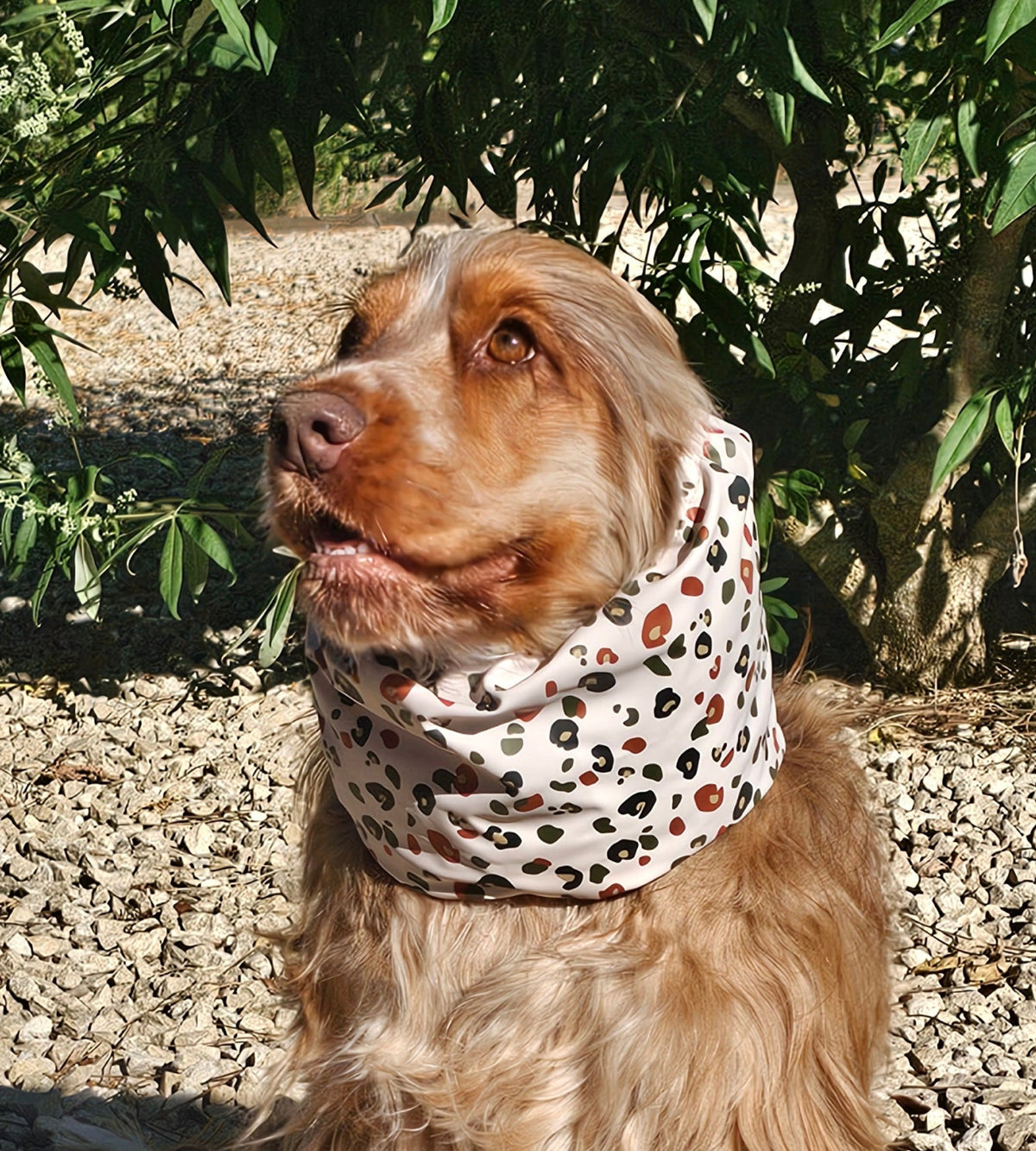 Snood léopard beige - imperméable