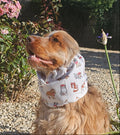 Snood petits chiens - coton