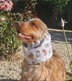 Snood petits chiens - coton