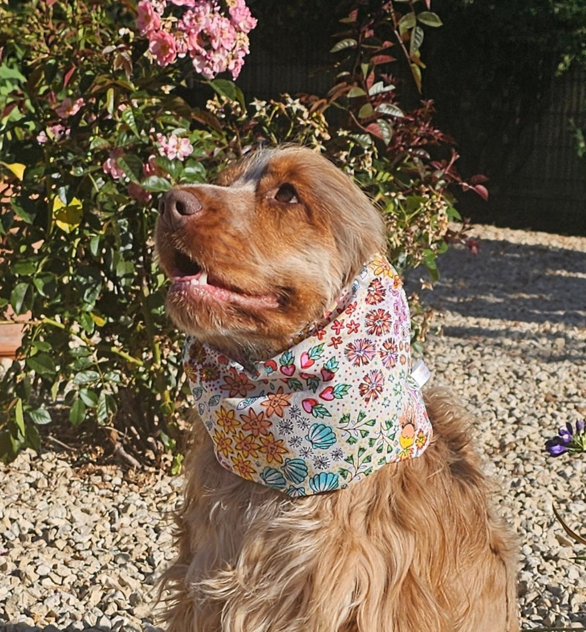 Snood fleurs et flamants roses - coton