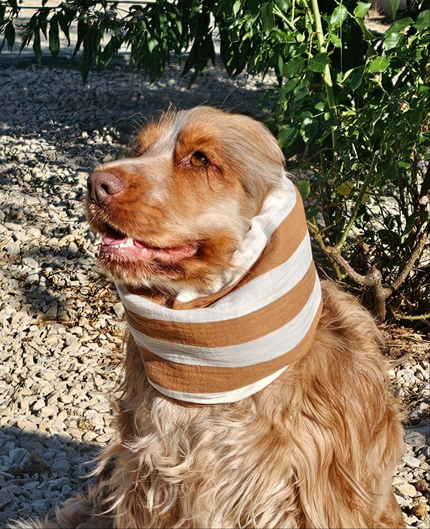 Snood rayé ocre et blanc - gaze de coton