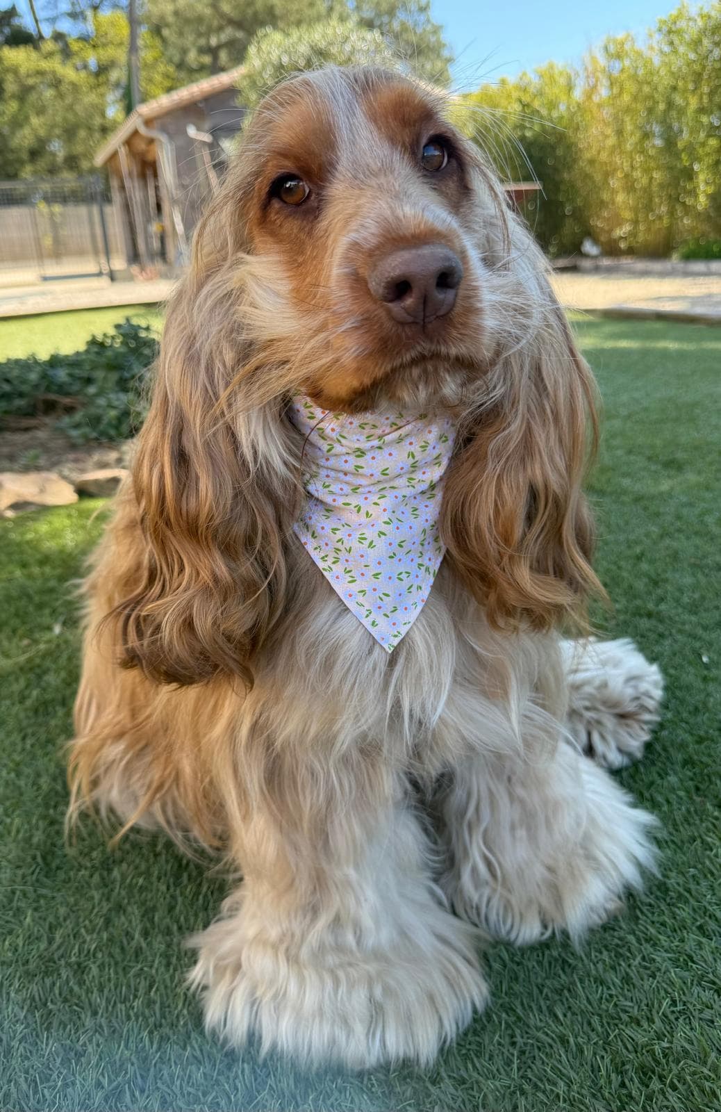 Bandana jaune pâle fleuris
