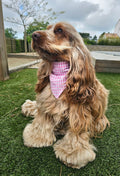 Bandana vichy rose