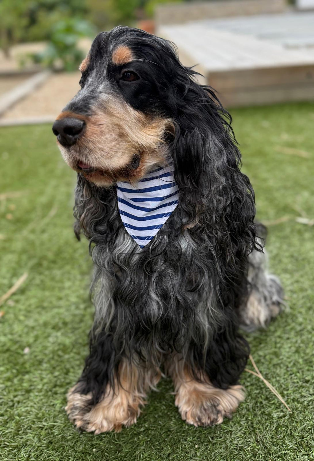 Bandana Marinière