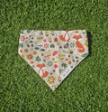 Bandana automne