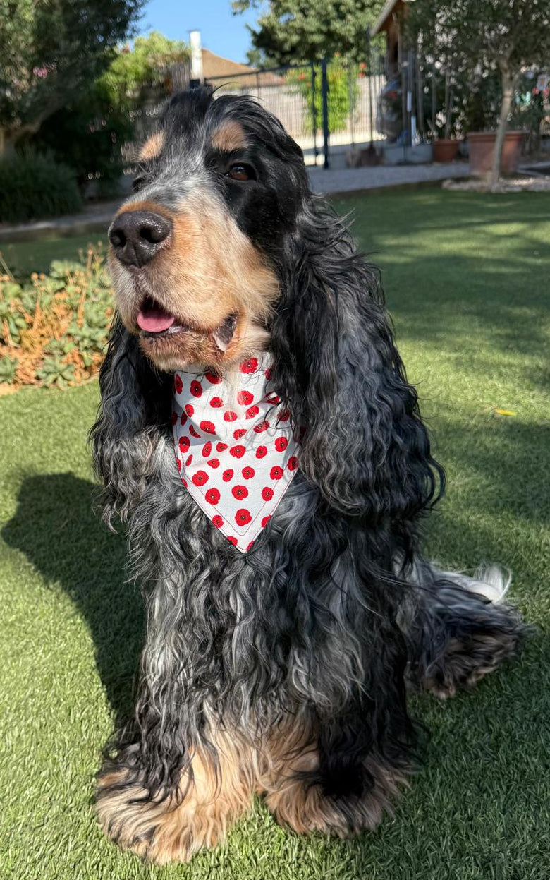 Bandana blanc avec coquelicots - toile de coton