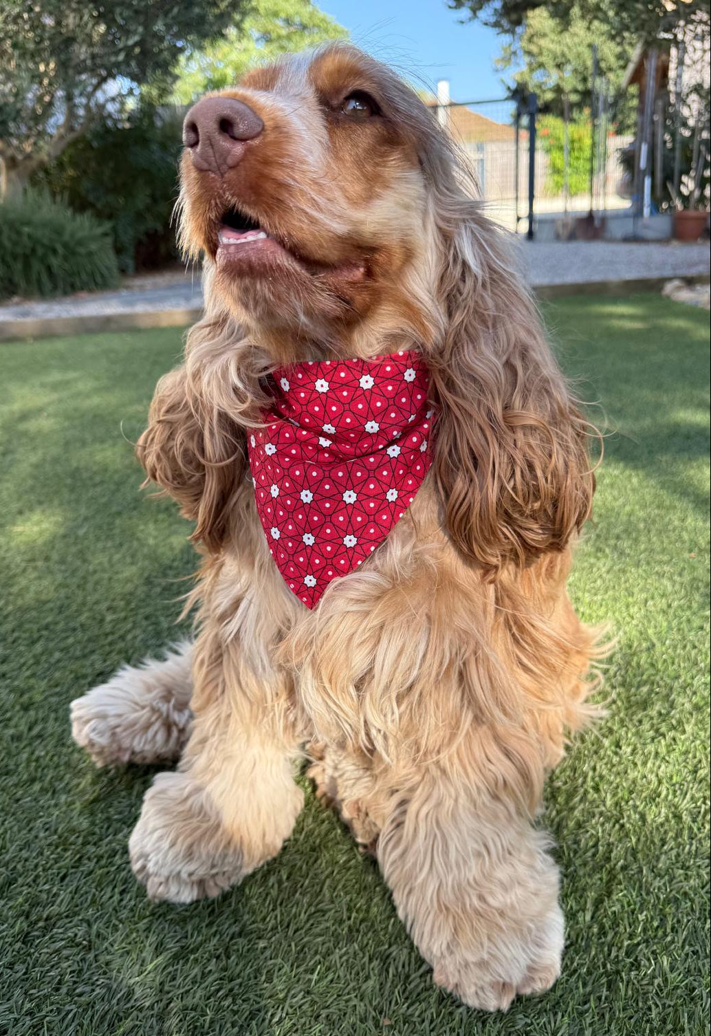 Bandana rouge avec petites fleurs - coton