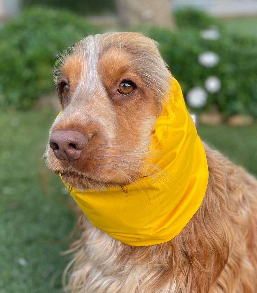 Snood jaune - imperméable