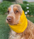 Snood jaune - imperméable