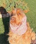 Snood petites fleurs roses - coton