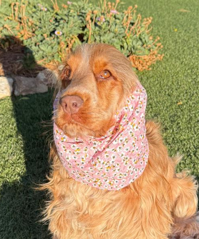Snood petites fleurs roses - coton