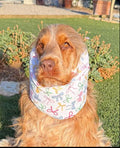 Snood petits noeuds - gaze de coton