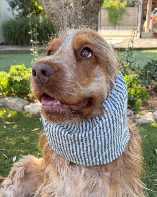 Snood rayé marinière - toile de coton