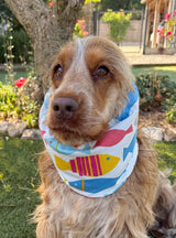 Snood poissons colorés - toile de coton