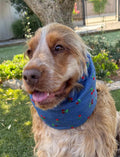 Snood cerises - chambray