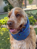 Snood cerises - chambray