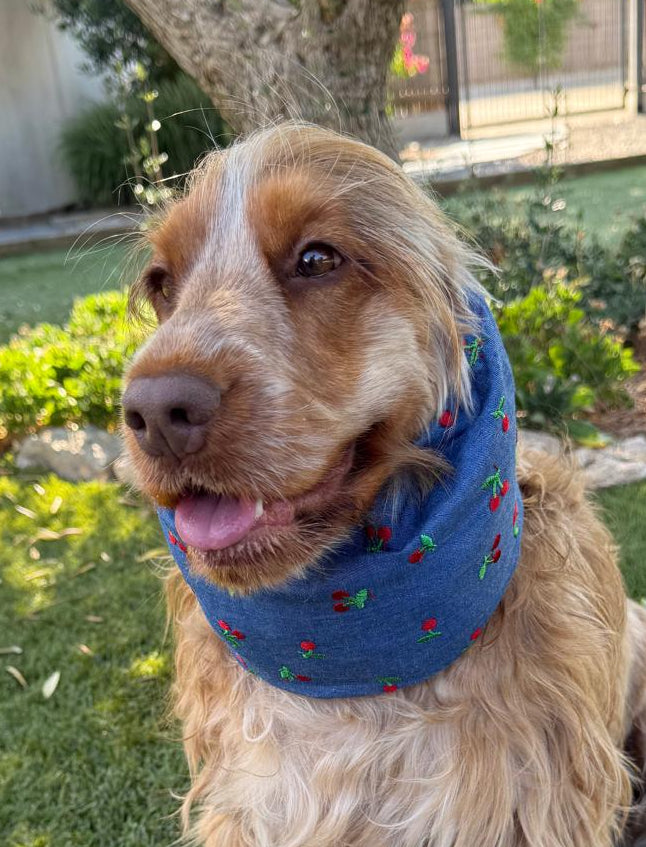 Snood cerises - chambray