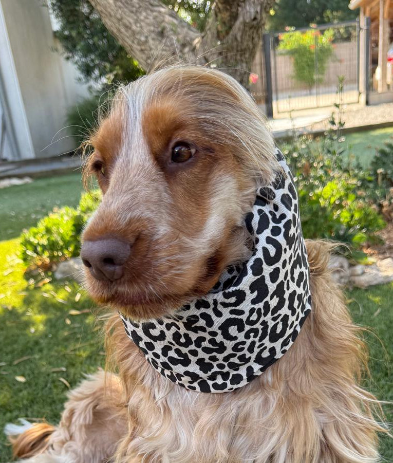 Snood léopard - toile de coton