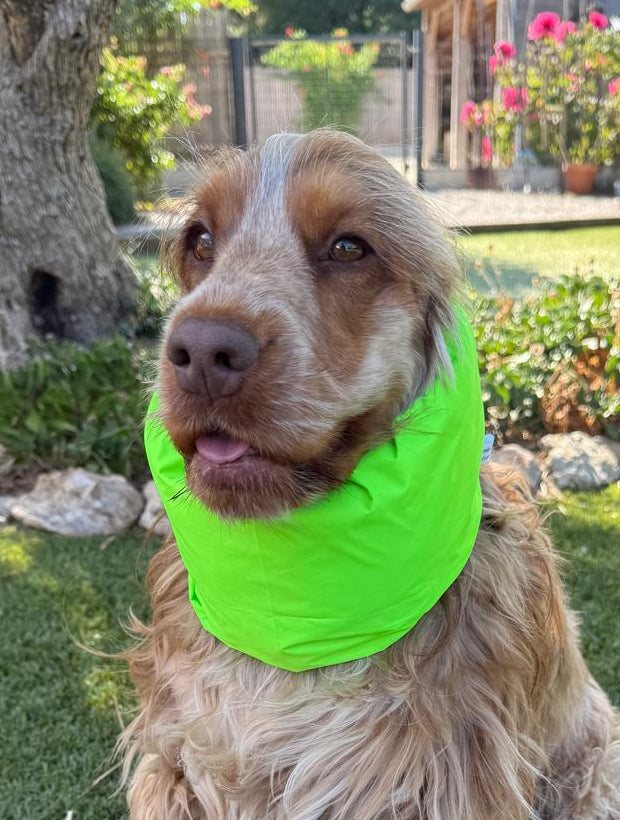 Snood vert fluo - coupe vent déperlant léger