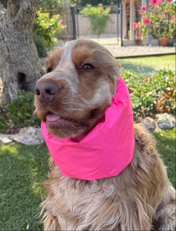 Snood rose fluo - coupe vent déperlant léger