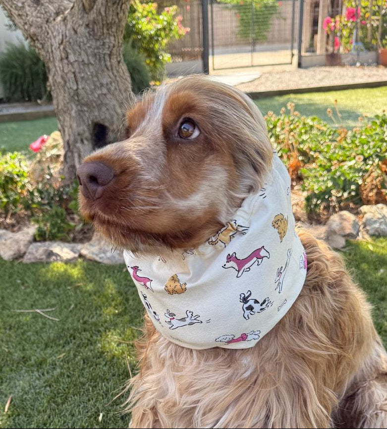 Snood chiens mignons - jersey