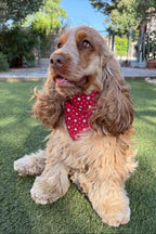 Bandana rouge avec petites fleurs - coton