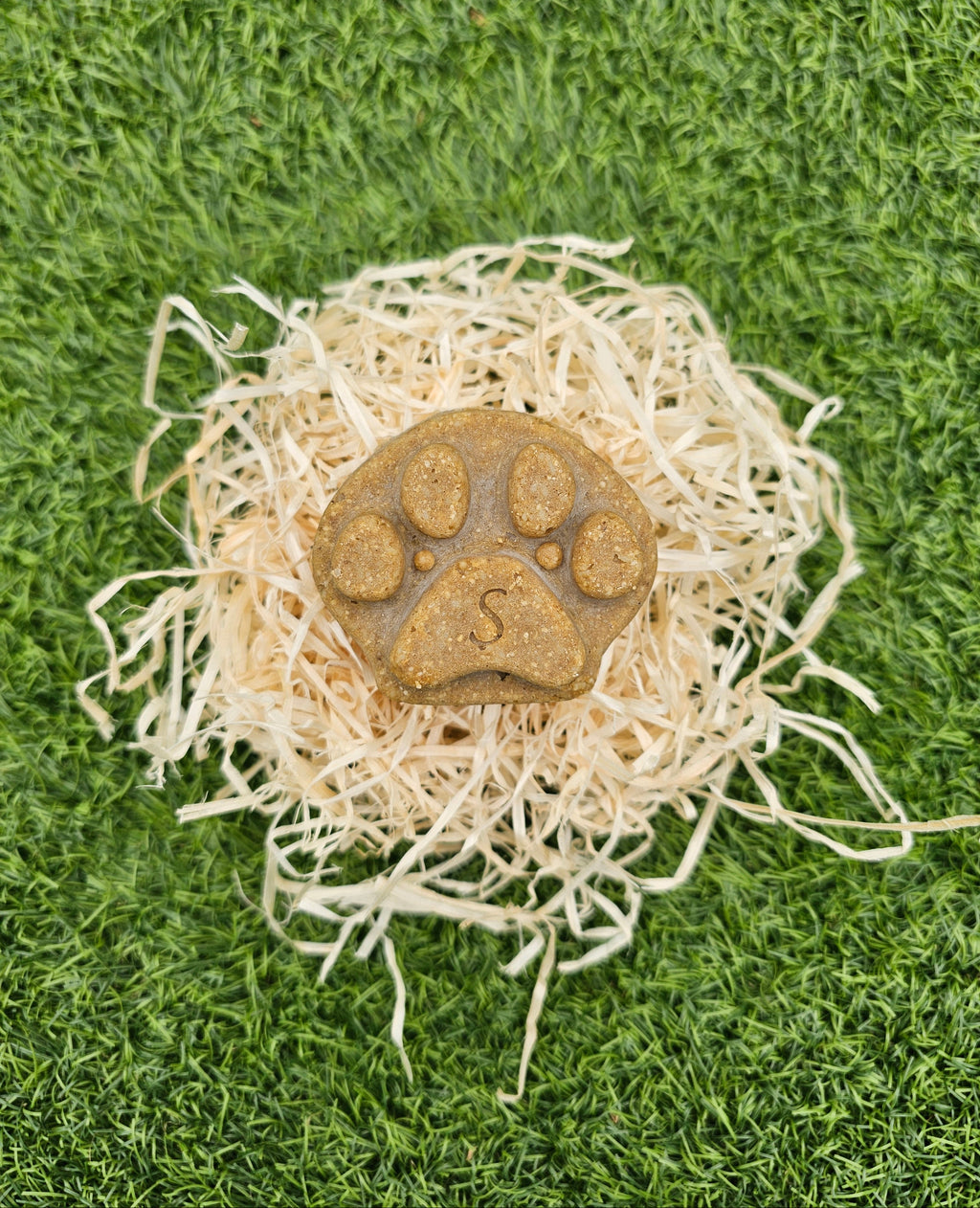 Shampoing solide pour chiens