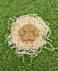 Shampoing solide pour chiens