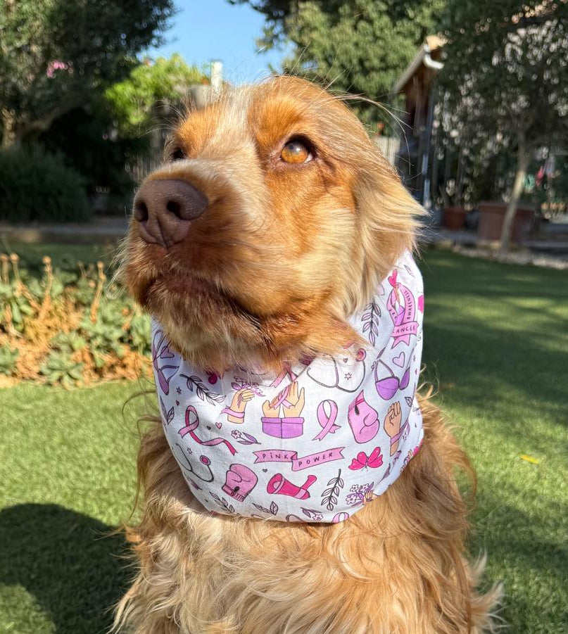 Snood Octobre Rose - coton