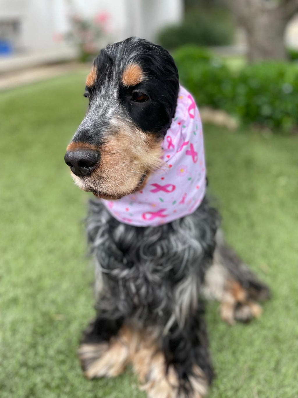 Snood Octobre rose - coton