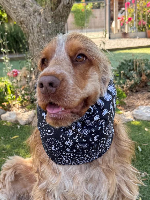 Snood bandana noir - coton