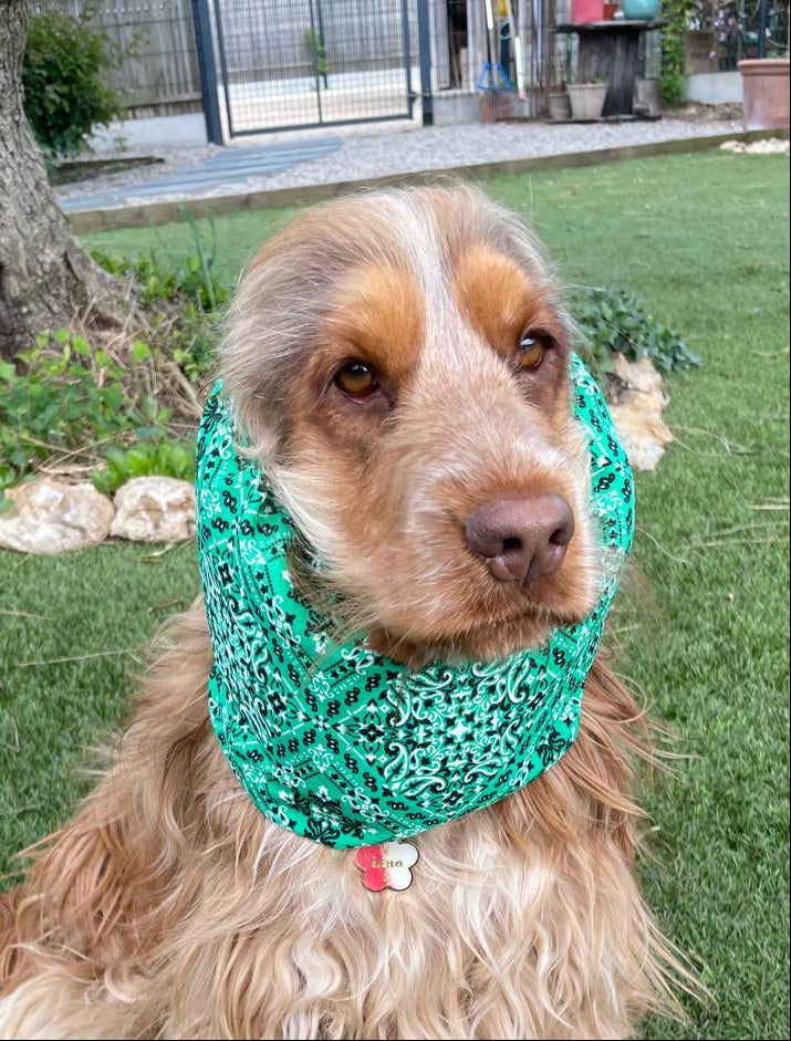 Snood bandana vert - coton