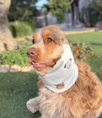 Snood beige avec animaux - imperméable