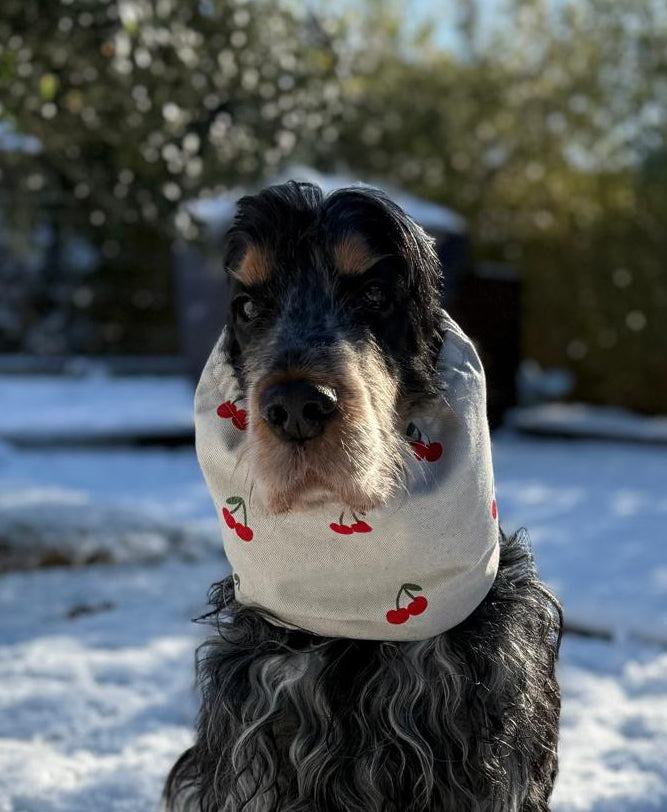 Snood beige avec cerises - toile de coton