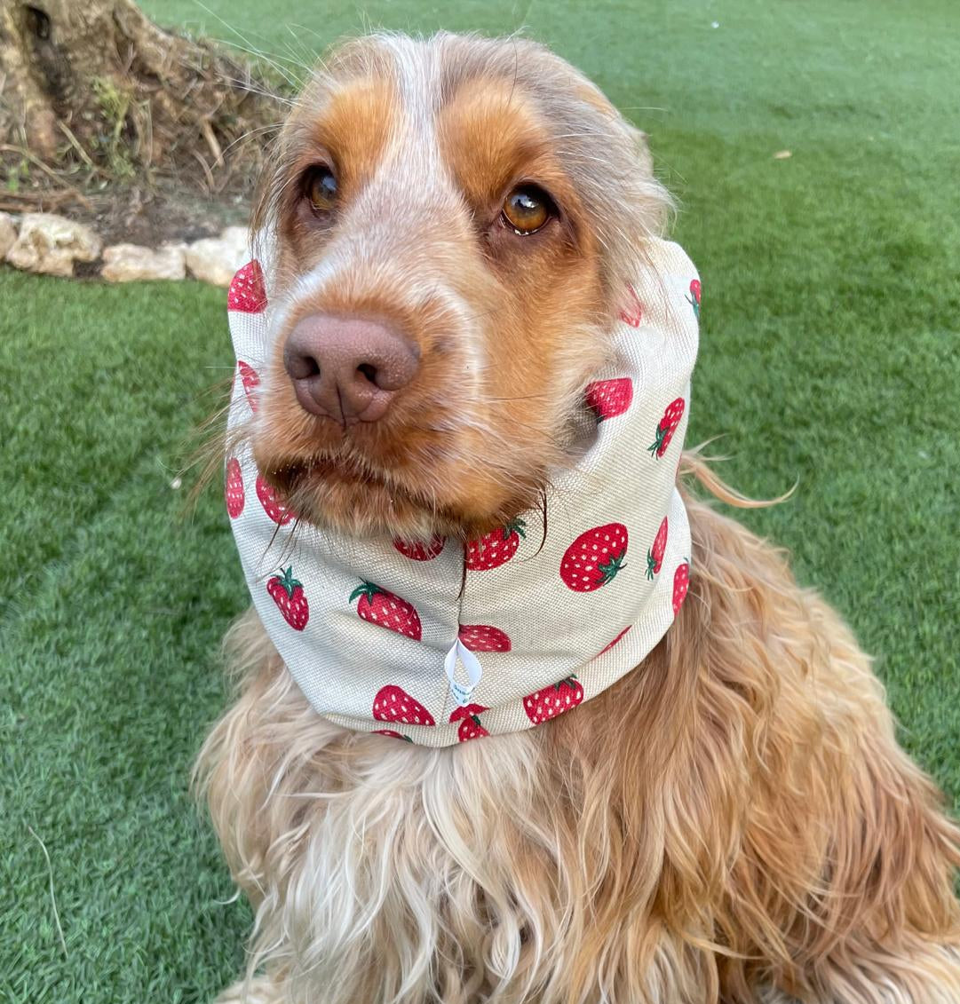 Snood beige avec fraises - imperméable