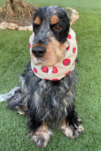 Snood beige avec fraises - imperméable