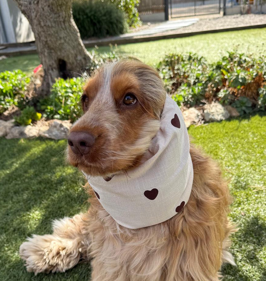 Snood beige coeurs marrons -coton léger
