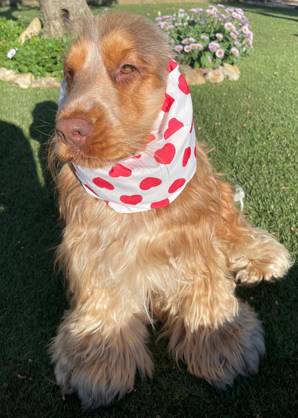 Snood blanc avec coeurs rouges - popeline