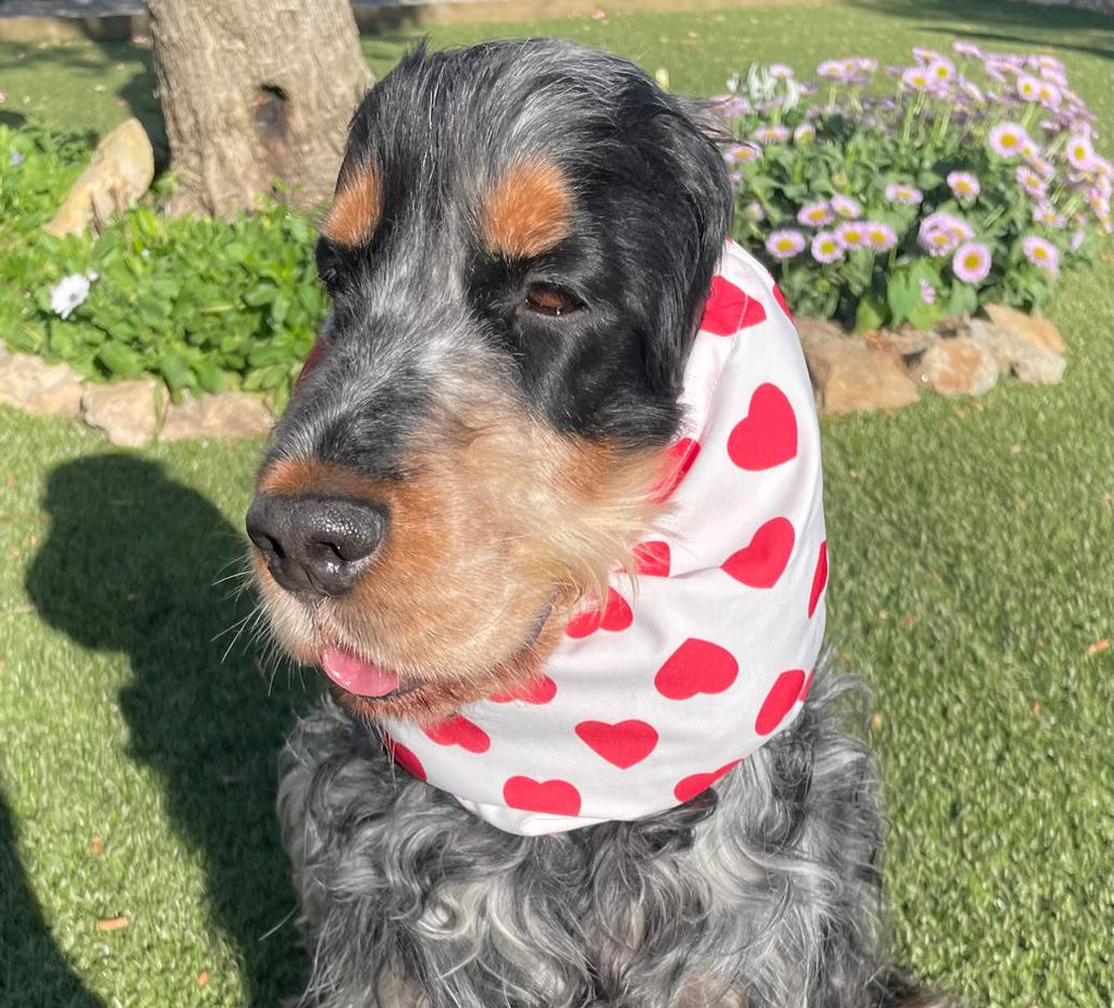 Snood blanc avec coeurs rouges - popeline