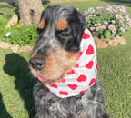 Snood blanc avec coeurs rouges - popeline