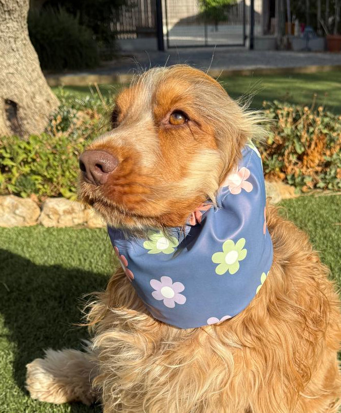 Snood bleu avec marguerites colorées - imperméable